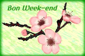 bon week-end fleurs sauvages